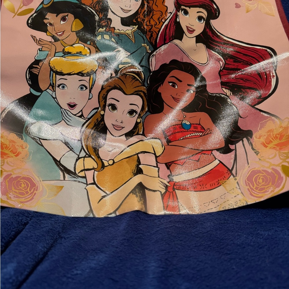 Disney Princess Tote Bag